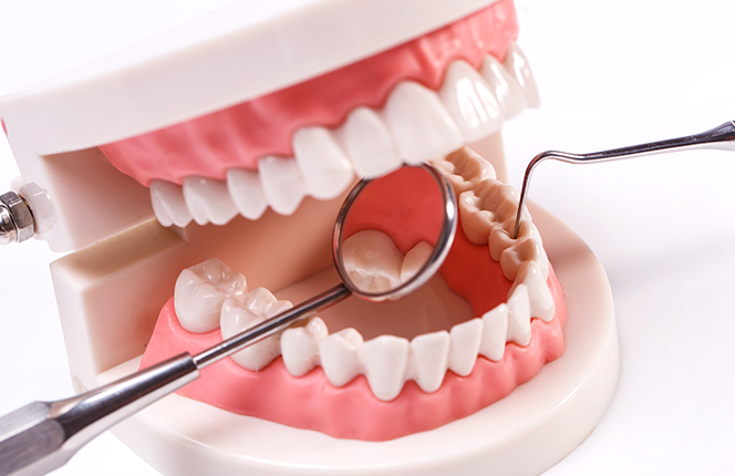 DENTIST|보존치료
